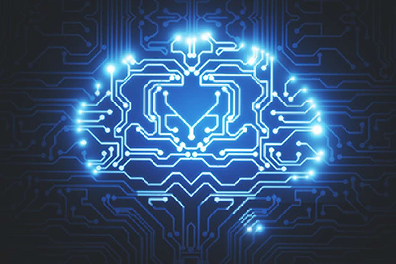 brain circuit
