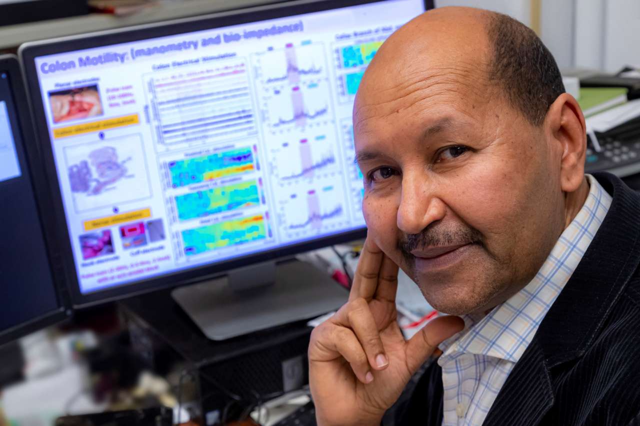 Million Mulugeta, DVM, PhD