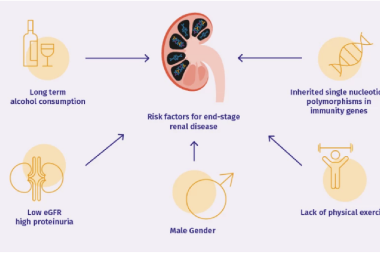 Risk factors diagram