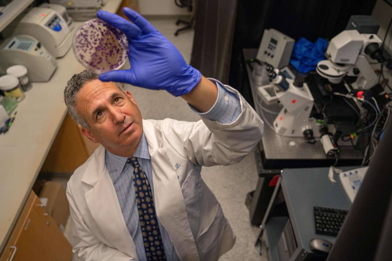 Dr. Michael Teitell holds up a petri dish in his lab