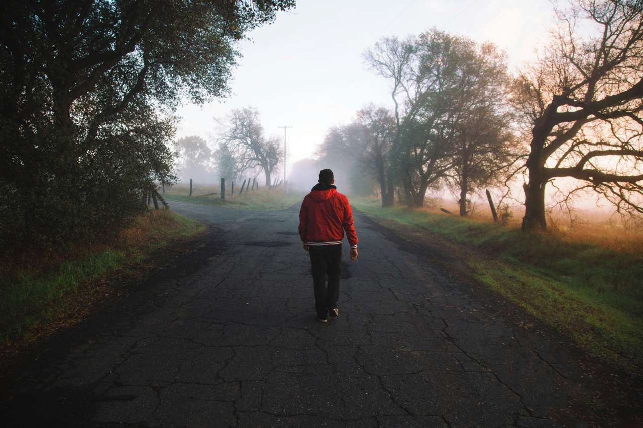 A person in a red hoodie walks down a misty, tree-lined road at dawn, their back to the camera.