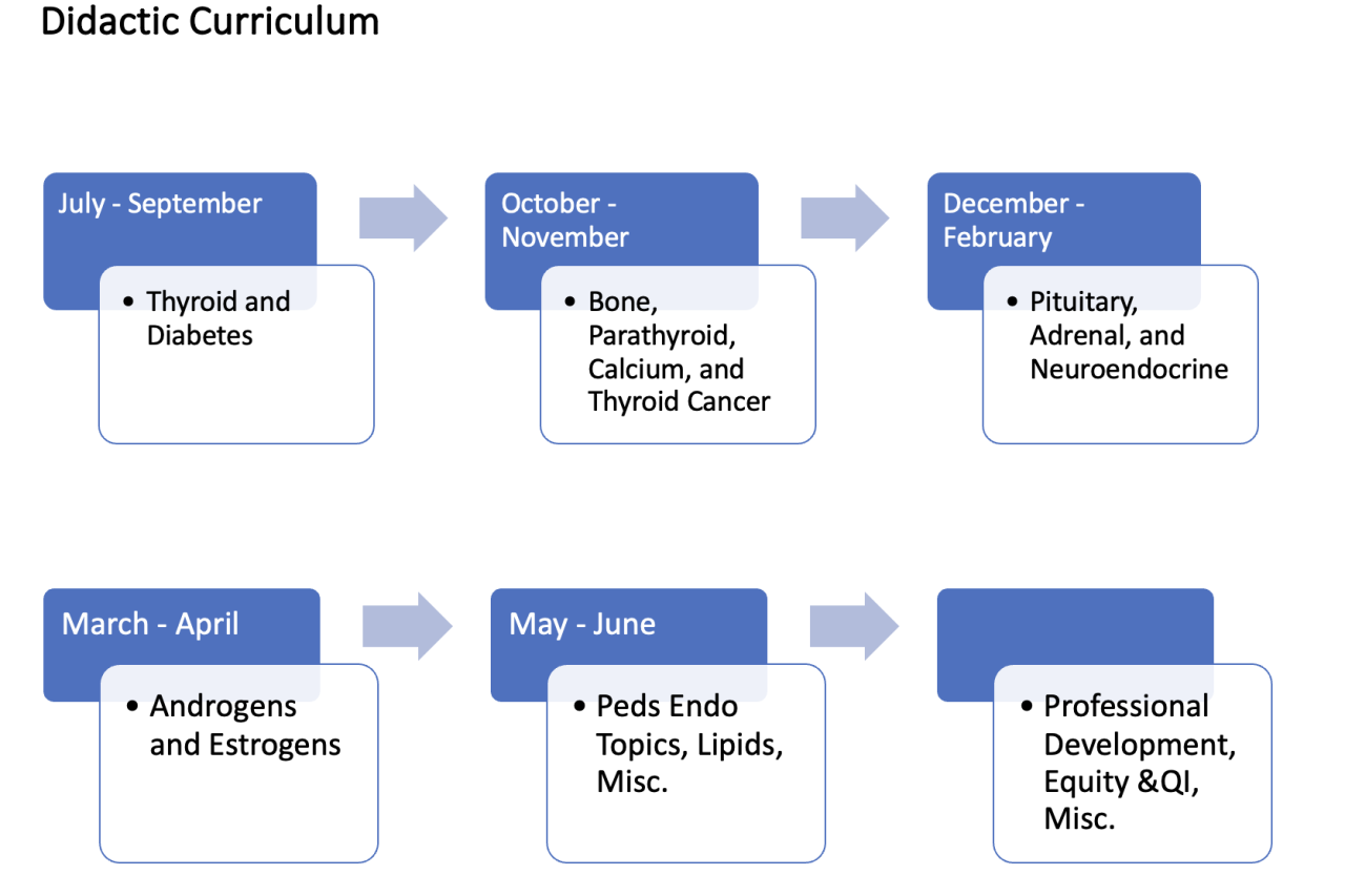 didactics