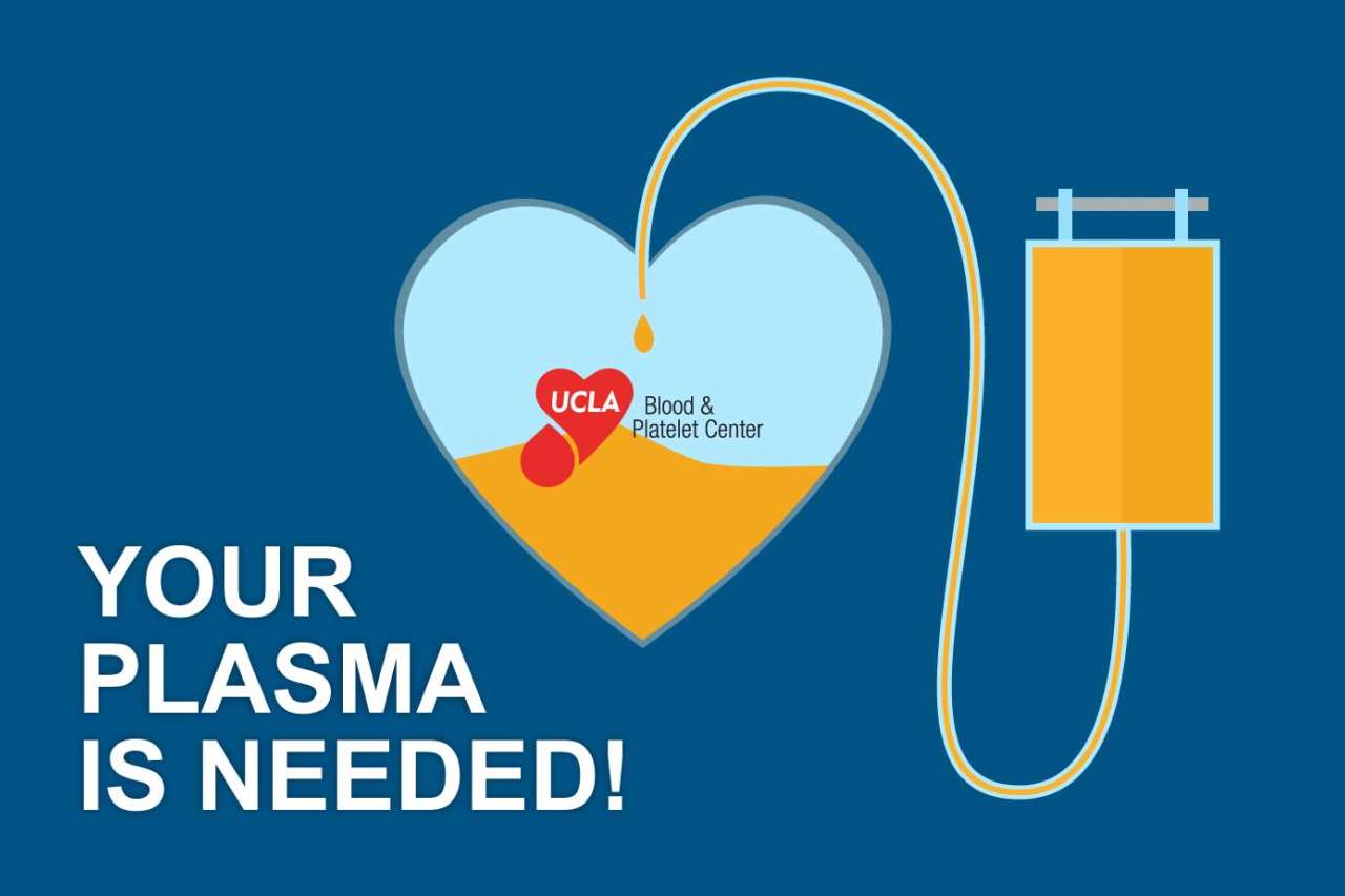 Graphic displaying a heart being supplied with blood