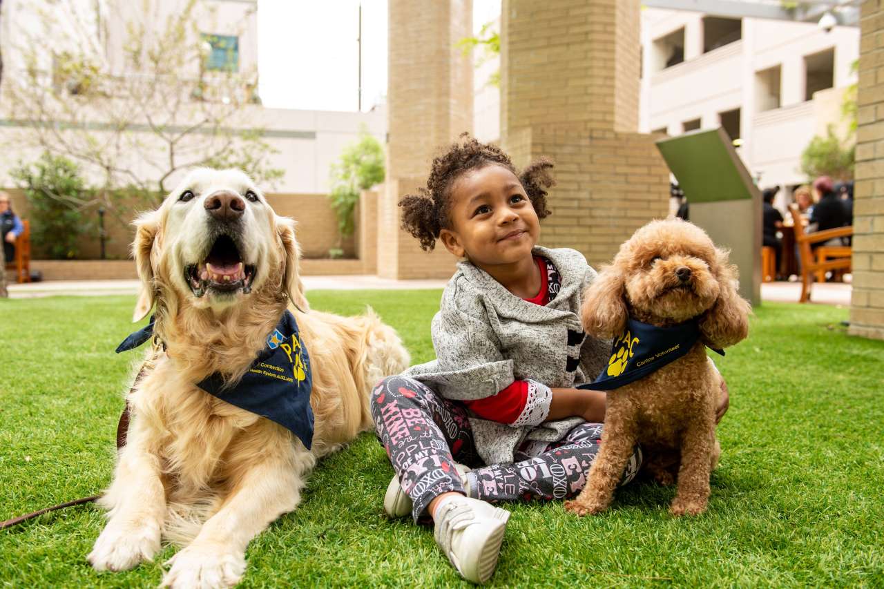 Girl sitting on lawn with dogs