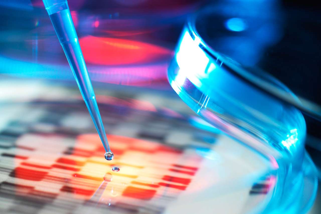 Genetic research, conceptual image