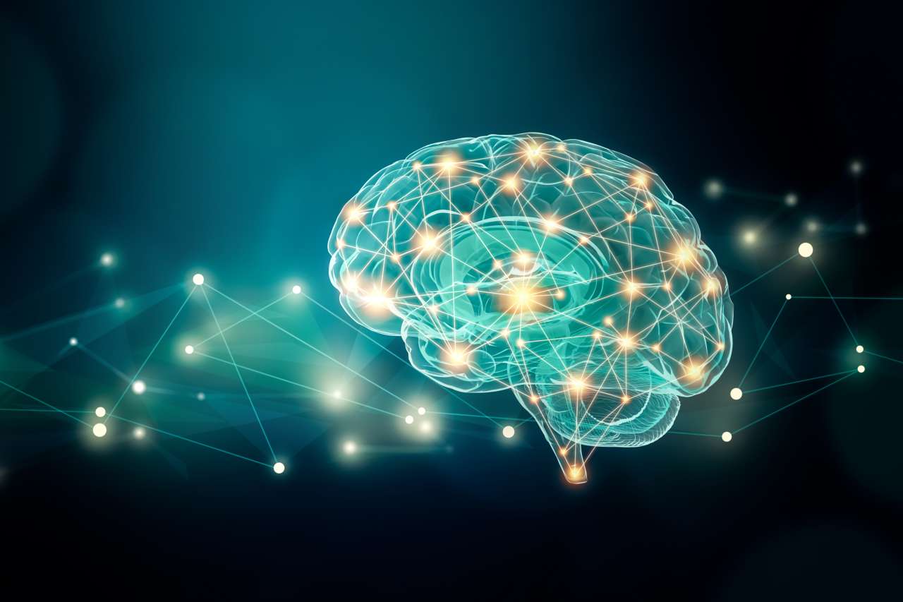 3D illustration of a brain scan