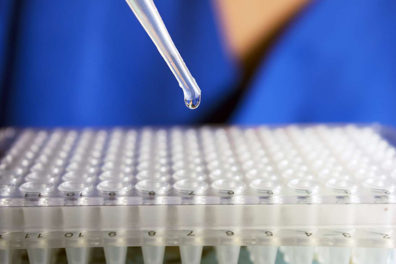 Pipette dropping liquid onto a PCR plate from gloved hand