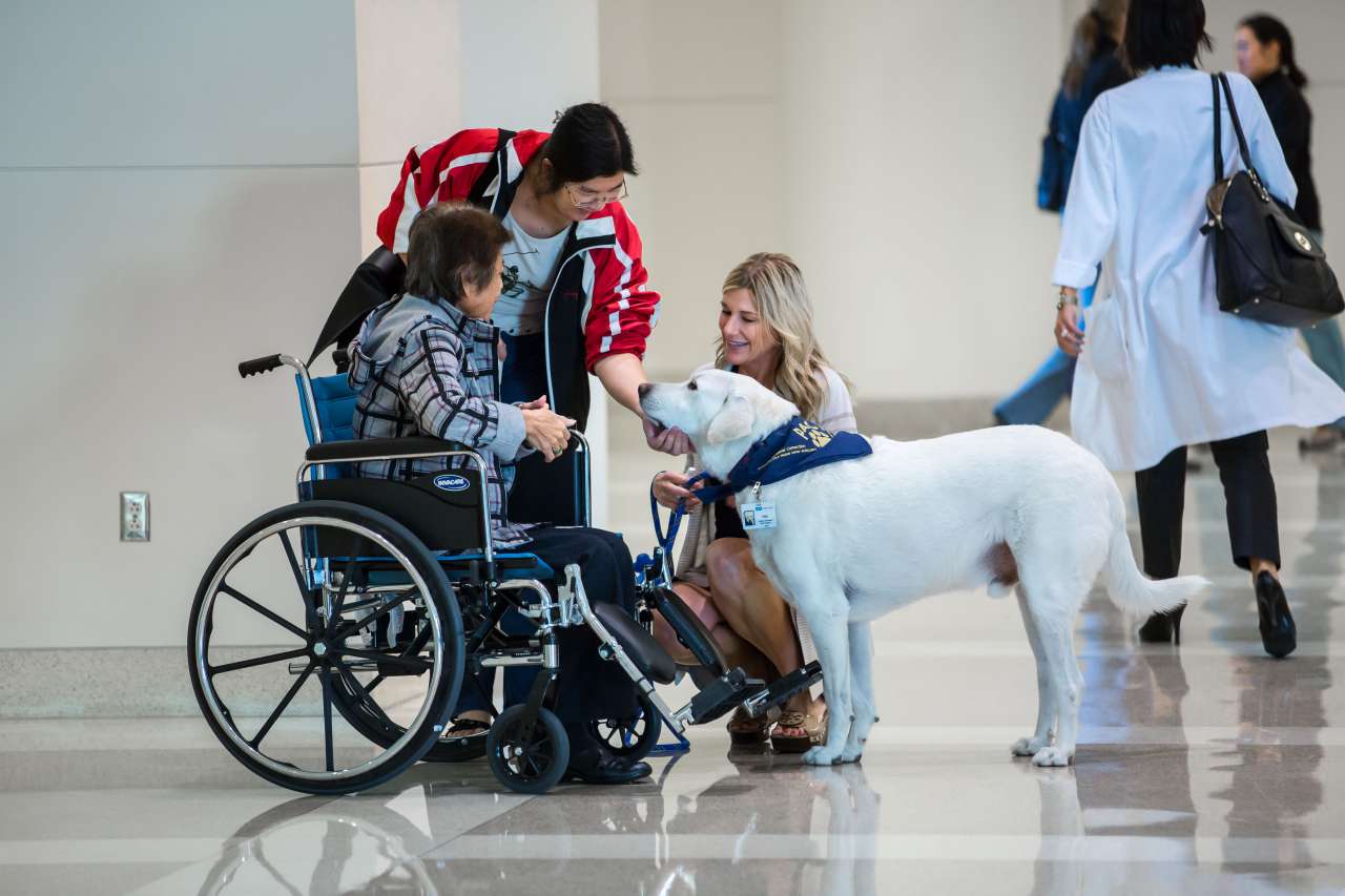 A UCLA Health People-Animal Connection volunteer and their therapy dog visit with two patients.