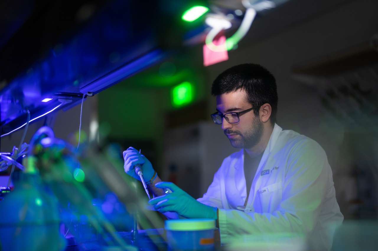 Researcher working in a UCLA immunology lab.