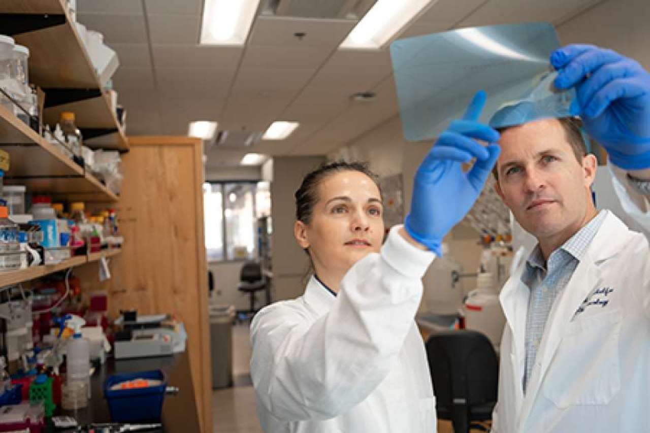 Milica Momcilovic, MD, PhD, and David Shackelford, PhD and PI