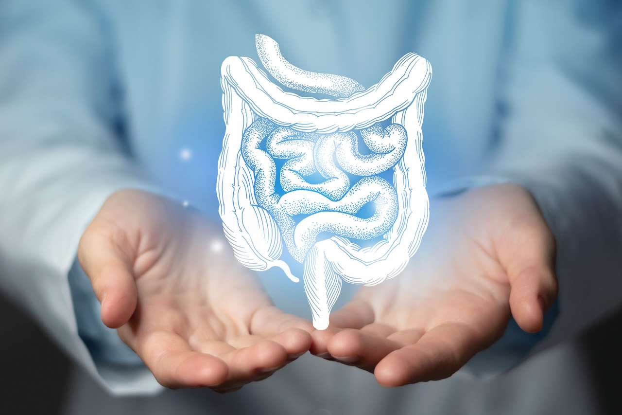 A Doctor Holding a Image of a Colon