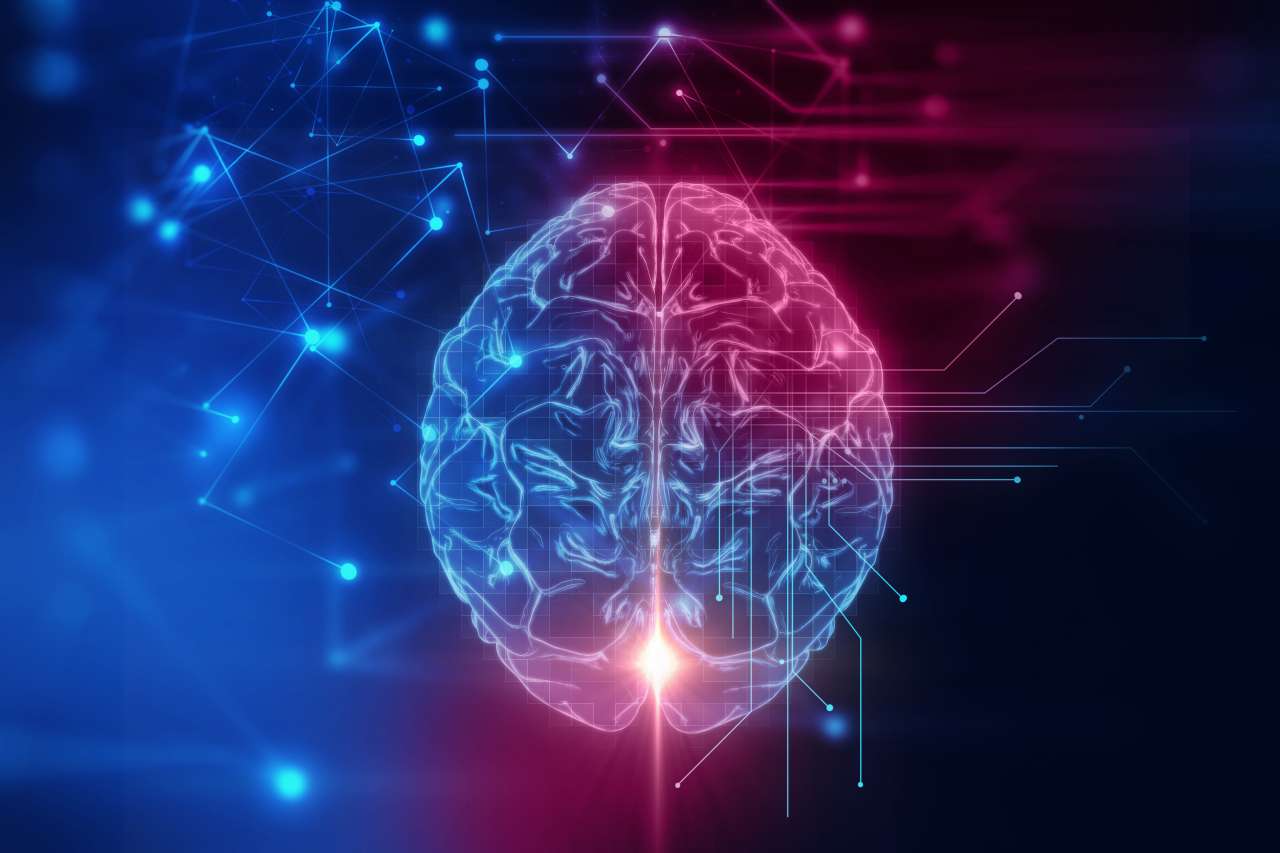 Brain image