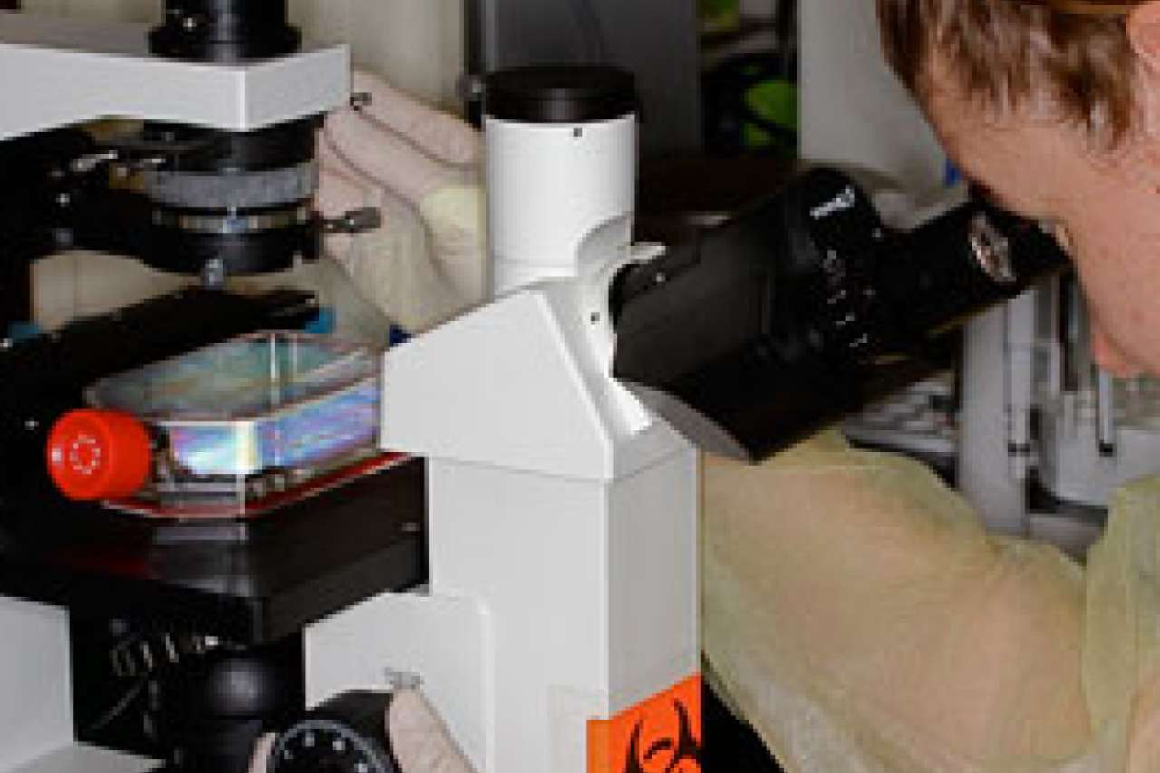 Infectious Disease Research