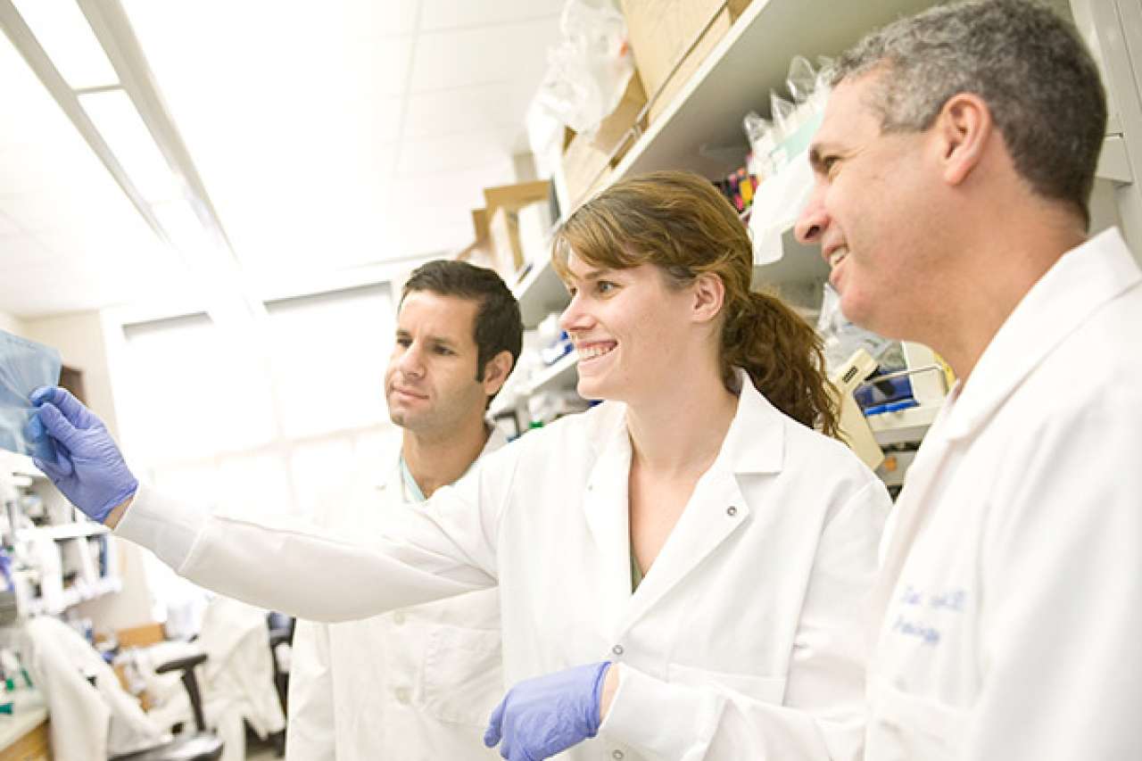 Doctors in lab looking at samples