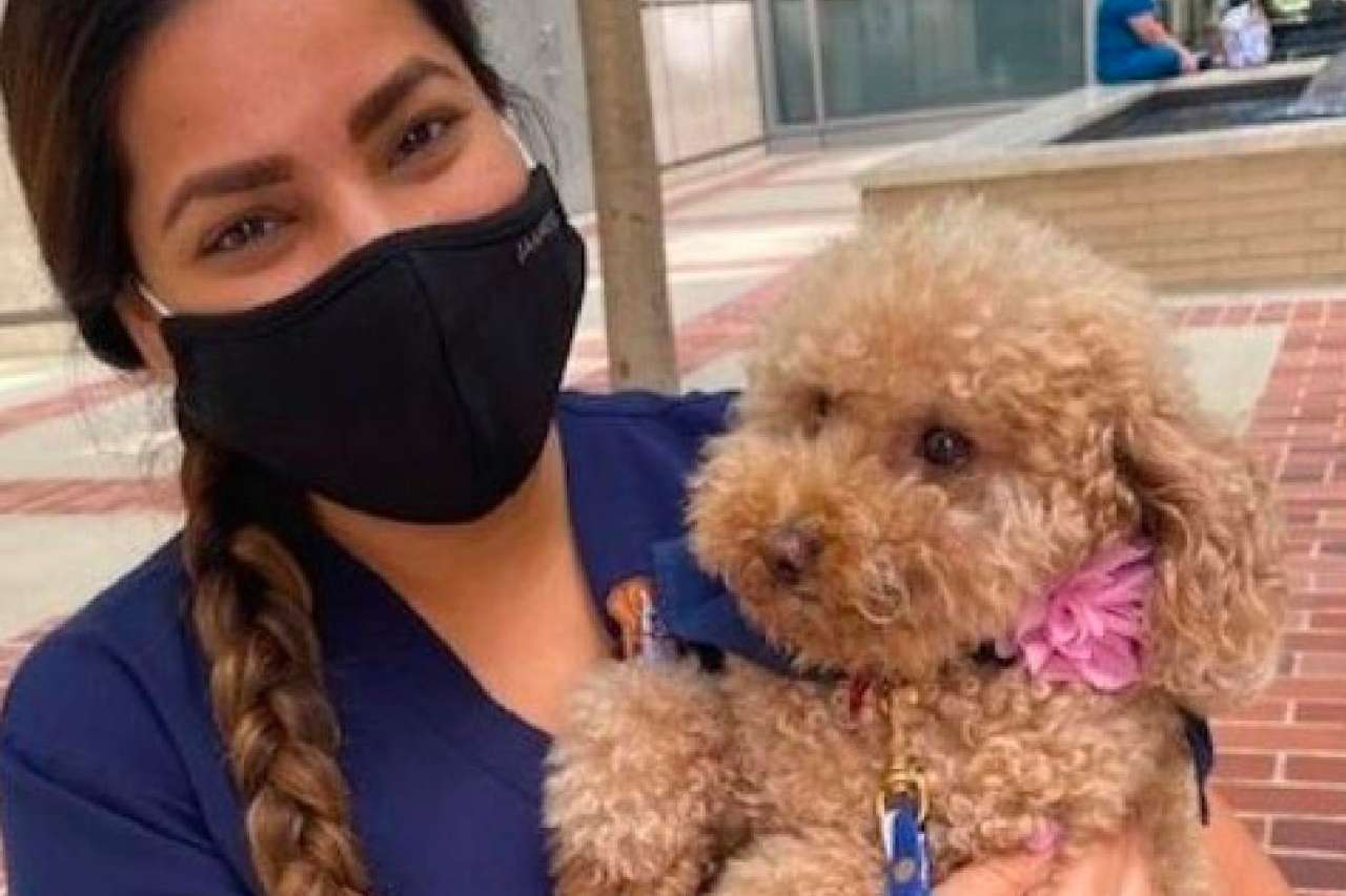 Outdoor Pet station with dog