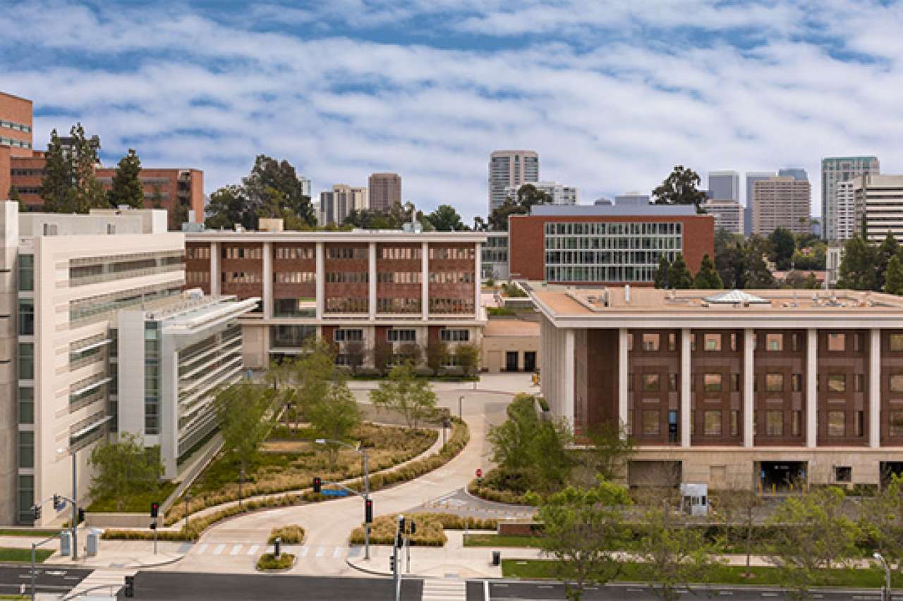 UCLA Stein Eye Institute