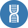 DNA strand icon