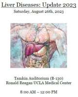 Liver Diseases: Update 2023