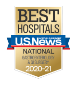 Best Hospitals GI 2020 Badge