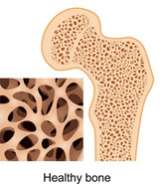 Endocrine Healthy Bone