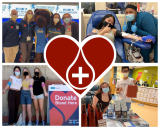 Bruin Blood Initiative Collage