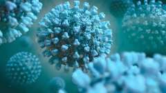 virus