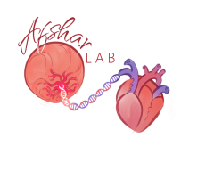 Afshar Lab Logo
