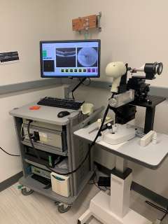 Bioptigen sdOCT Imaging System