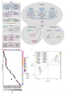 Boutros Research