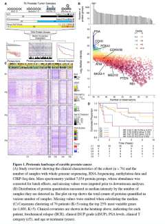 Boutros Research