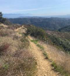 COVID Mountain Biking