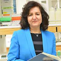 Dr. Eghbali Lab Page Profile