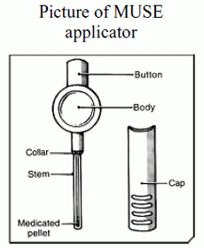 Muse Applicator
