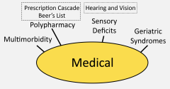 Medical presentation graphic cropped