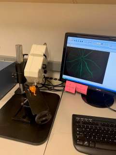 Micron Fundus Imaging System