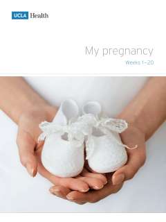 pregnancy 1-20