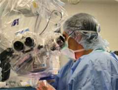Doctor using a surgical microscope.
