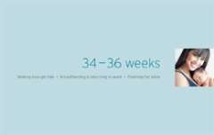 Third Trimester Weeks 34-36