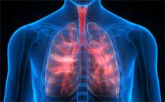 Thoracic Anesthesiology