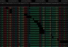 Genetic sequence data displayed in colored characters on a dark background.