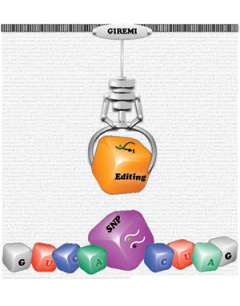 Identify disease markers