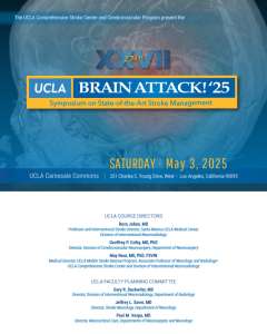 Brain Attack 2025