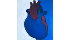 Image of a blue and red heart