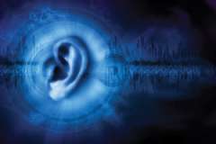 ear