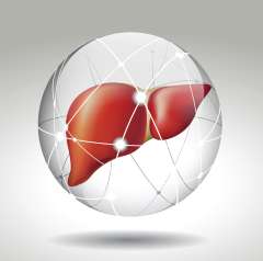 Liver Circle