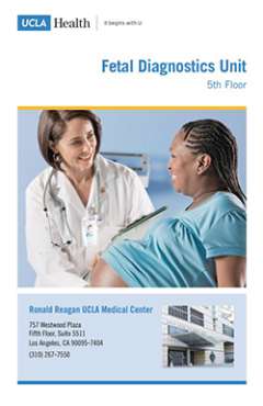 fetal