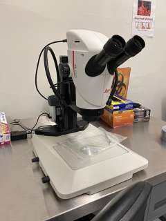 Leica Stereomicroscope