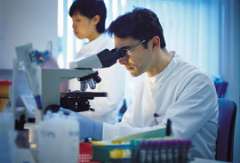 Man looking into a microscope in a lab