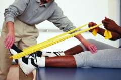 Physical and Occupational Therapy