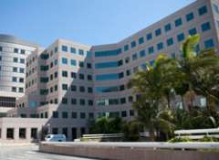 UCLA Department of Orthopaedic Surgery at Westwood